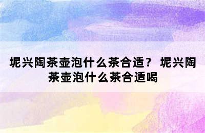 坭兴陶茶壶泡什么茶合适？ 坭兴陶茶壶泡什么茶合适喝